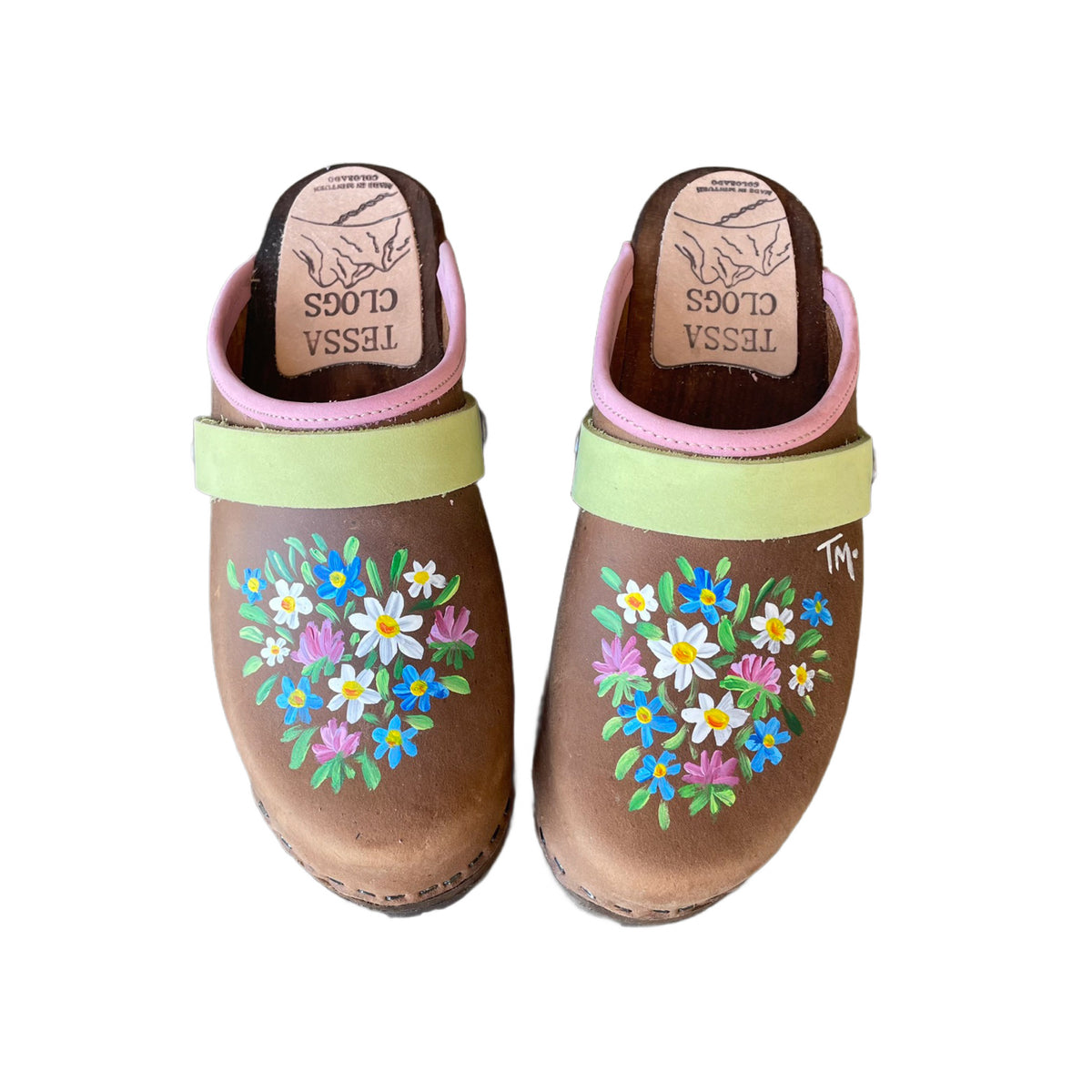 Hand Painted Mountain Clogs with Vail Design,and Snap Straps, Made