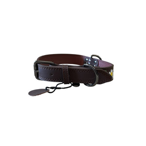 Hand Painted Dog Collar