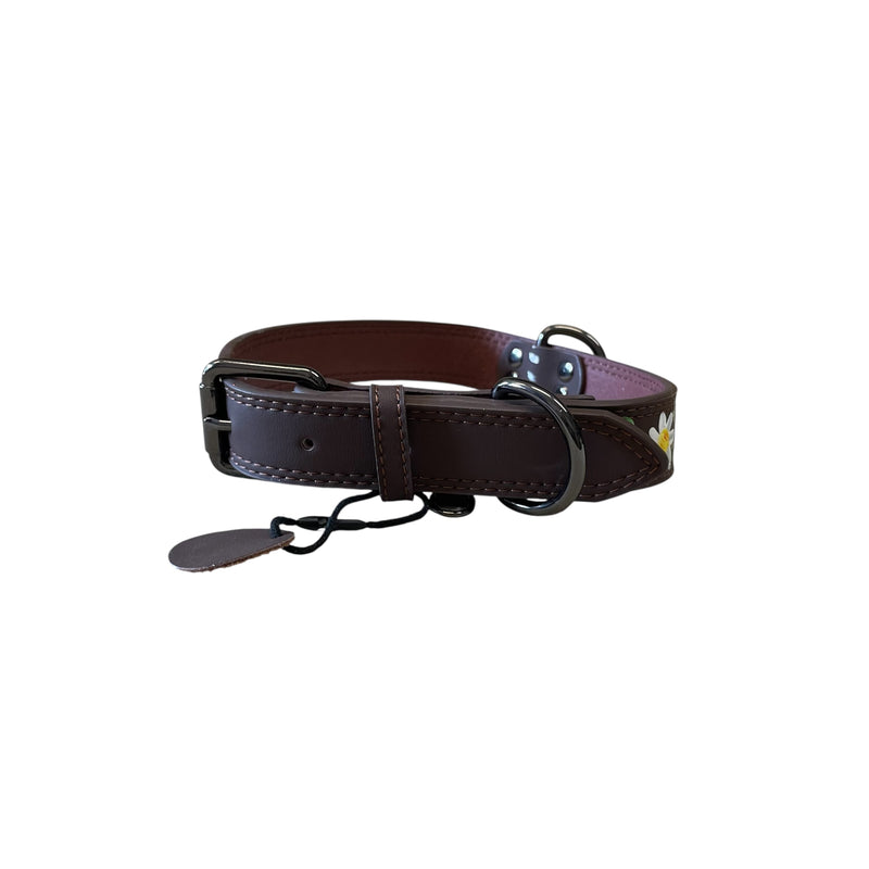 Hand Painted Dog Collar